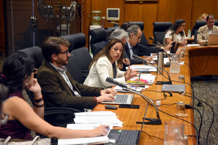 Ministra de perfil, habla a micrófono. A su lado, parte del equipo de la Dirección de Industrias.