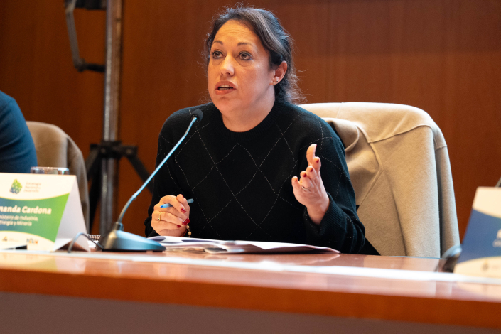 Cardona habla, sentada en una mesa