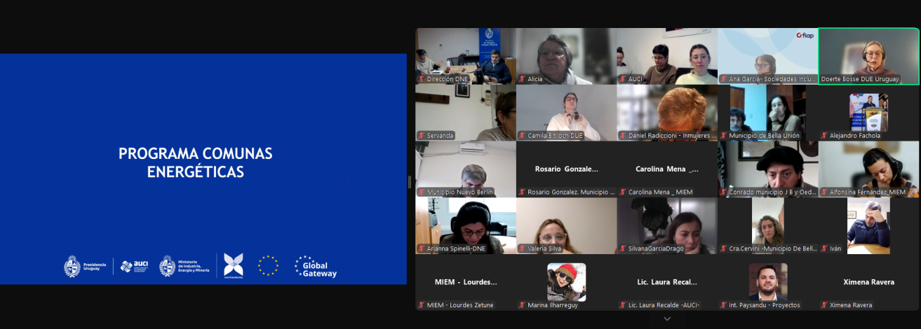 Imágenes de personas participantes en videoconferencia (captura de pantalla)