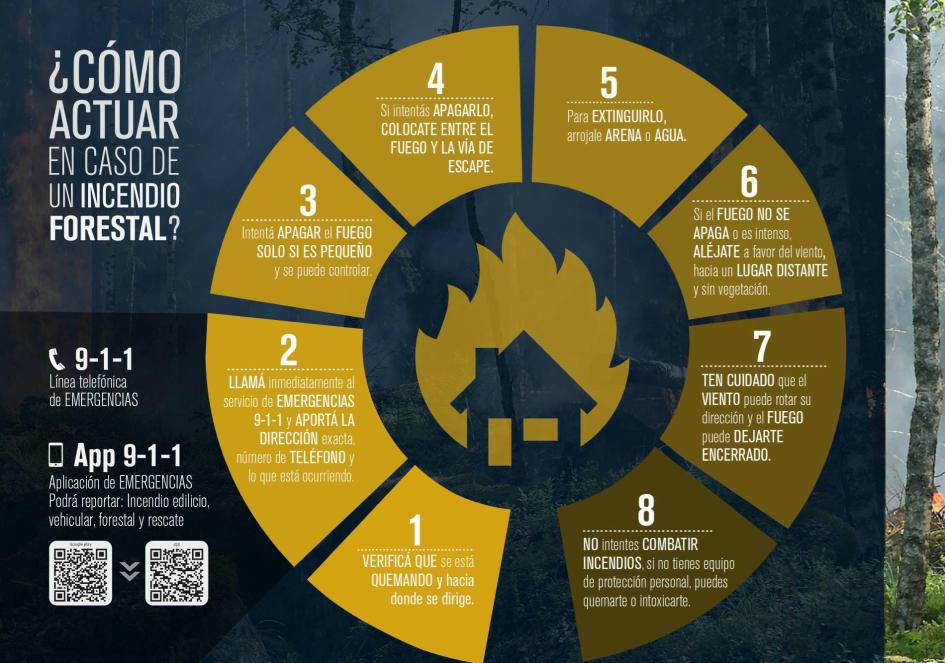 Qué hacer ante incendios