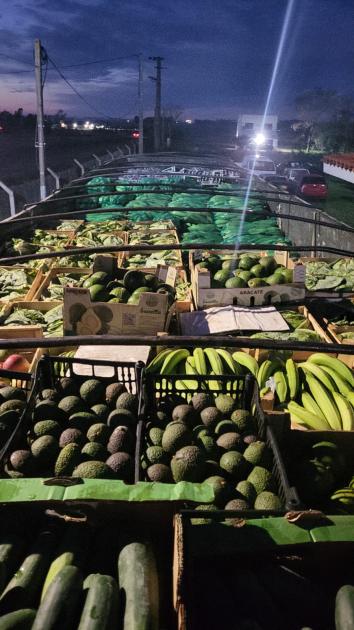 frutas y verduras en el camión