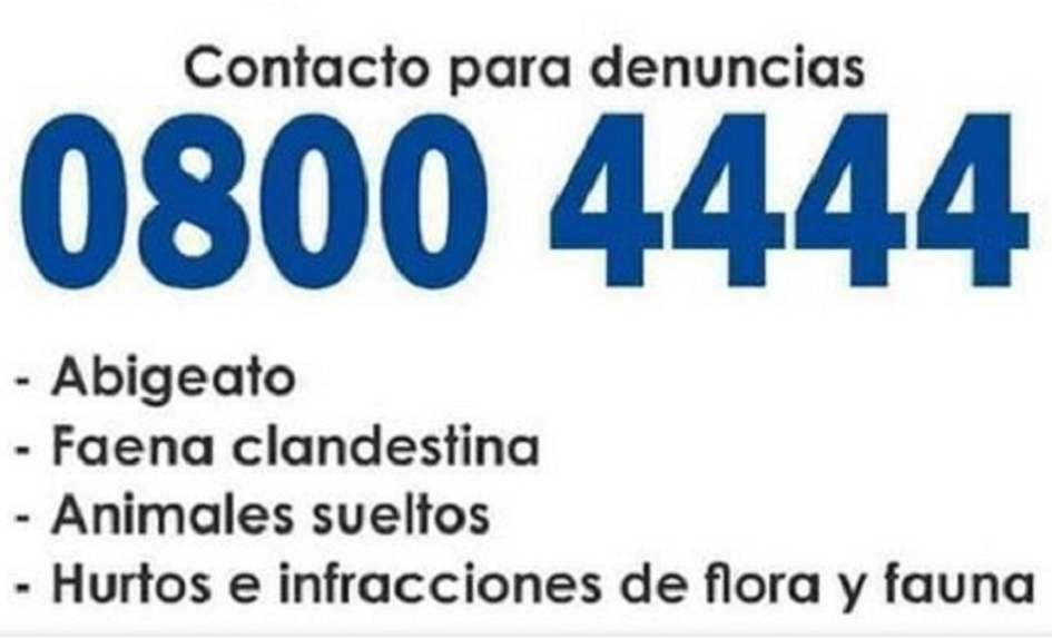 Imagen ilustrativa 0800 4444 Abigeatos