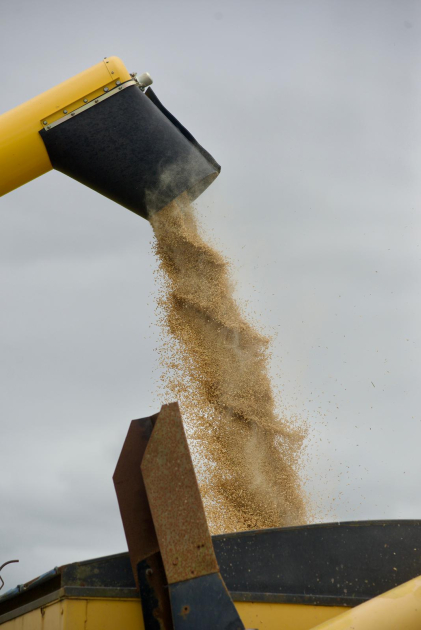 inauguración oficial de la cosecha de arroz 2026