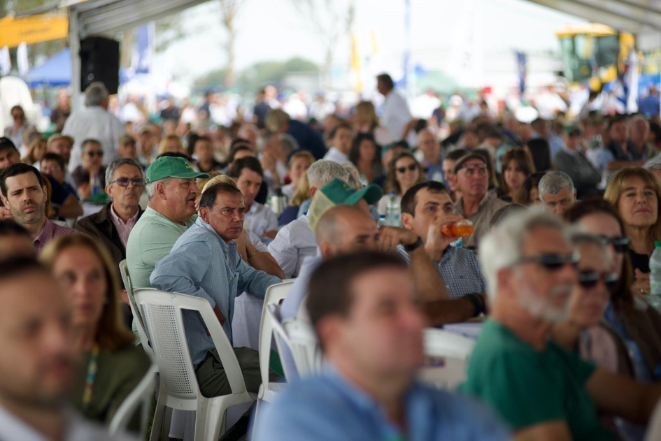 inauguración oficial de la cosecha de arroz 2026