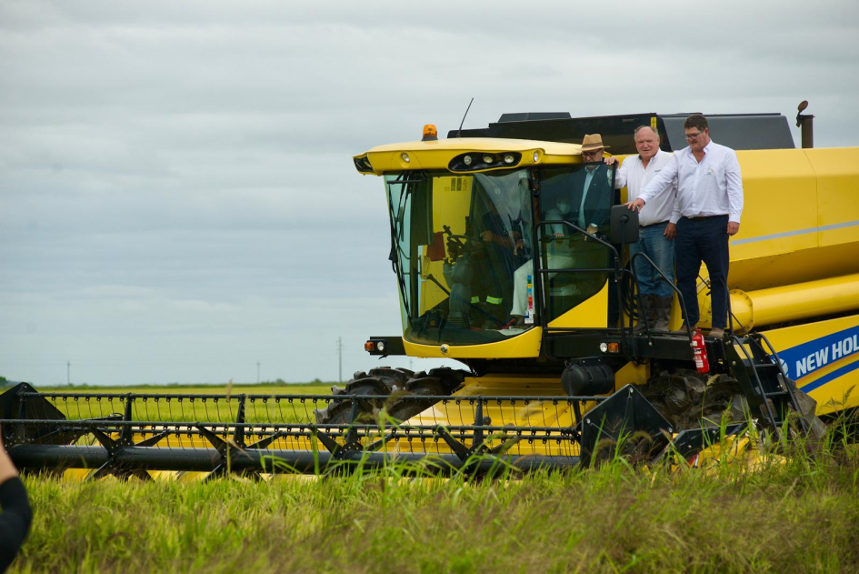 inauguración oficial de la cosecha de arroz 2026