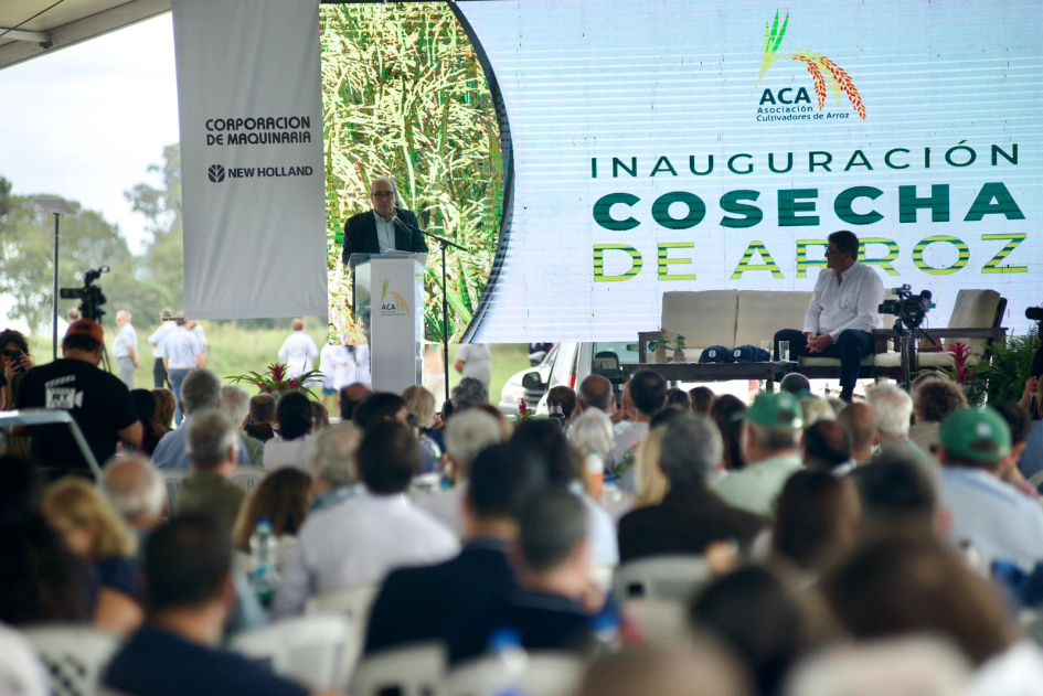 inauguración oficial de la cosecha de arroz 2026