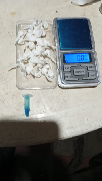 Objetos incautados
