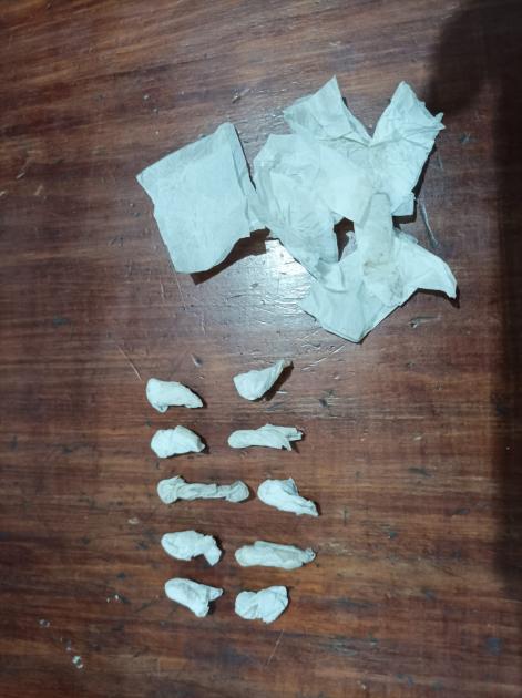 10 (diez) chasquis de cocaina. 10 (diez) chasquis de cocaina.