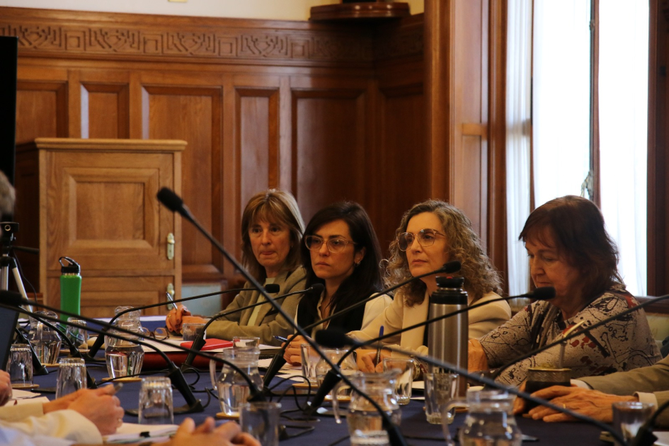 Ministerio del Interior presentó acciones ante la Comisión Bicameral de Salud Mental Ministerio del Interior presentó acciones ante la Comisión Bicameral de Salud Mental