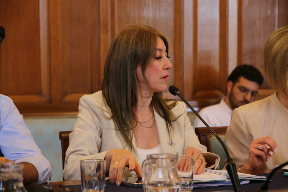 Ministerio del Interior presentó acciones ante la Comisión Bicameral de Salud Mental Ministerio del Interior presentó acciones ante la Comisión Bicameral de Salud Mental