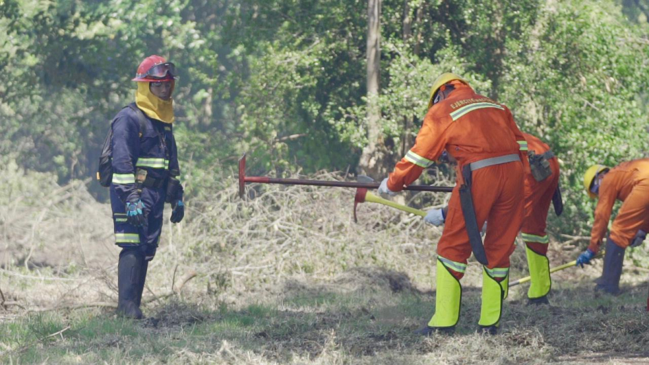 funcionarios durante la capacitación funcionarios durante la capacitación