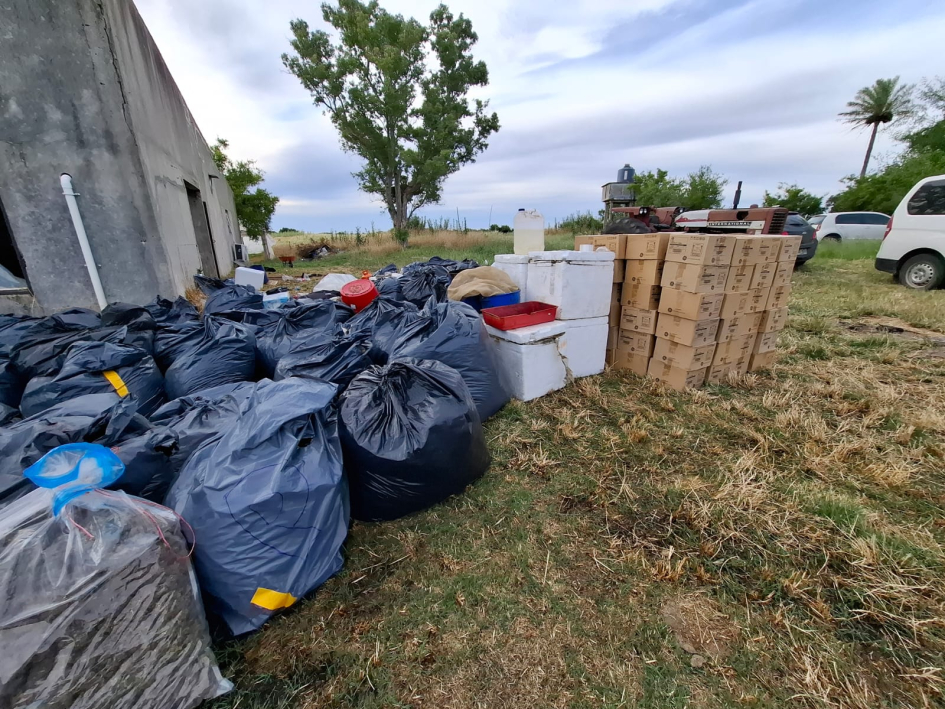 objetos incautados en la operación Midas objetos incautados en la operación Midas