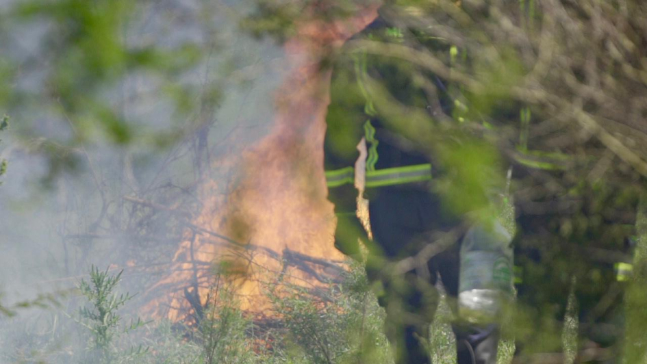 funcionarios durante la capacitación funcionarios durante la capacitación