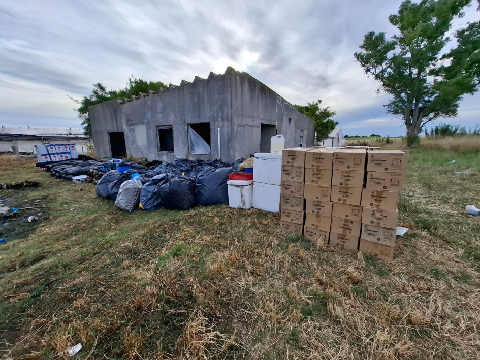 objetos incautados en la operación Midas objetos incautados en la operación Midas