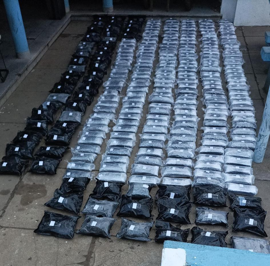 incautación de más de 480 kilos de droga en operativos coordinados entre Rocha y Montevideo incautación de más de 480 kilos de droga en operativos coordinados entre Rocha y Montevideo