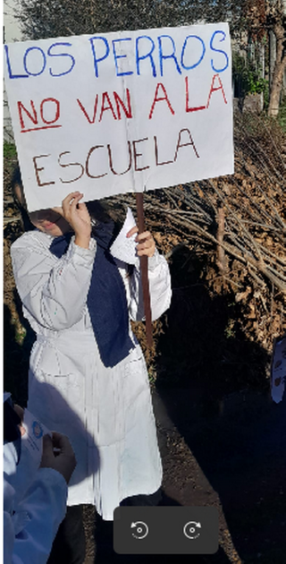 Caminata por la Concientización Sobre Tenencia Responsable de Animales Caminata por la Concientización Sobre Tenencia Responsable de Animales