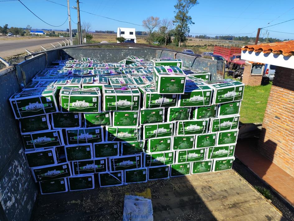 cajas con frutas y verduras