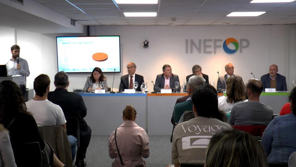 INR - INEFOP INR - INEFOP