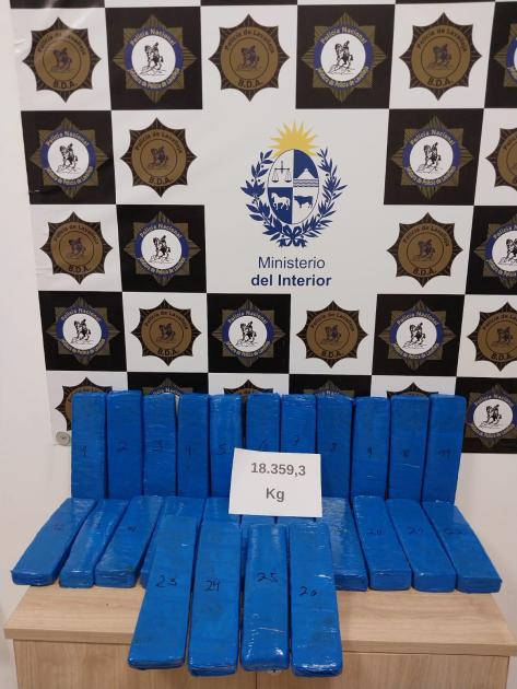 FOTO DE LOS 26 LADRILLOS DE MARIHUANA