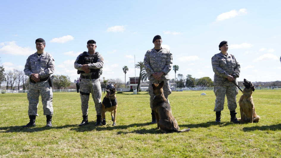 Policías y canes de la Unidad Táctica k9 Policías y canes de la Unidad Táctica k9