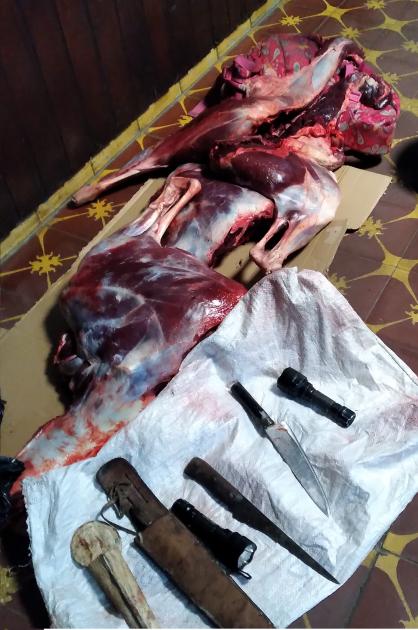 carne de ciervo carne incautada