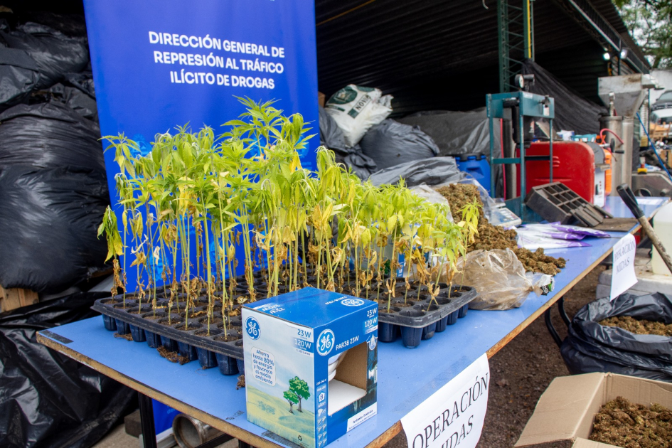 objetos incautados en la operación Midas objetos incautados en la operación Midas