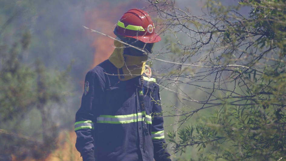 funcionario de bomberos durante la capacitación funcionario de bomberos durante la capacitación