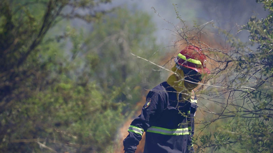 funcionario de bomberos durante la capacitación funcionario de bomberos durante la capacitación