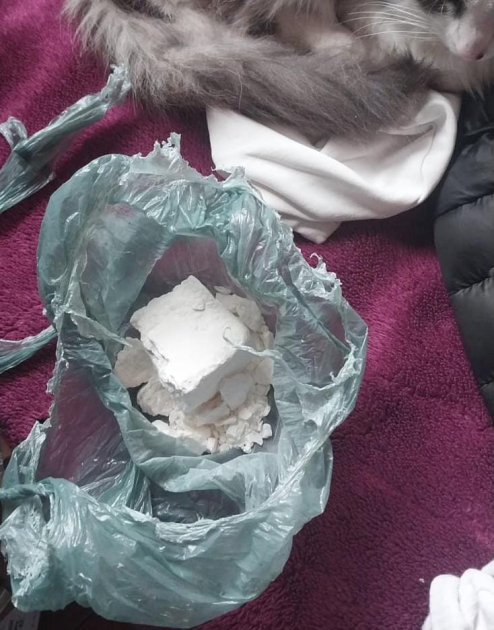 incautación de 101 gramos de cocaína. incautación de 101 gramos de cocaína.