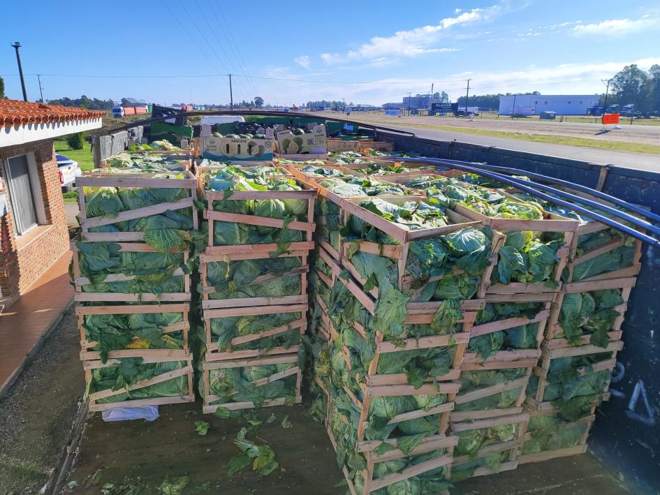 cajas con frutas y verduras