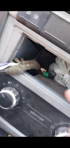 Sustancia incautada detrás de la radio. Sustancia incautada detrás de la radio.