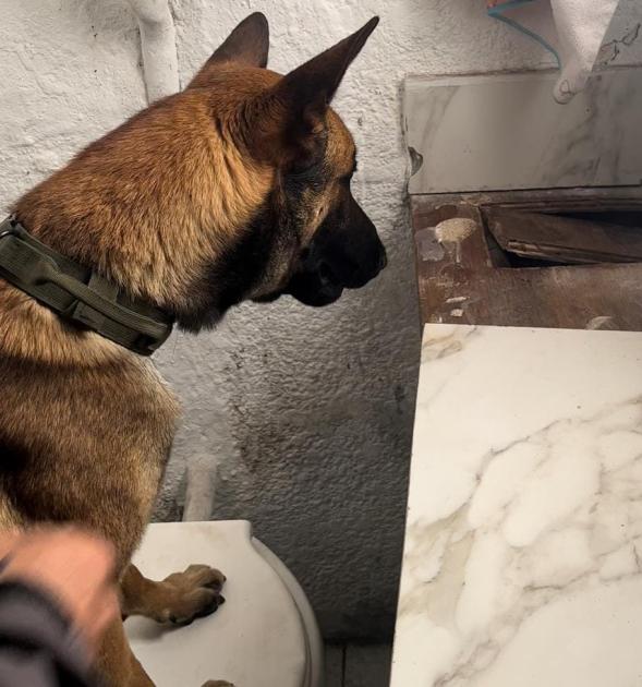 Operación Grand Bar Incautaciones en operación Grand Bar