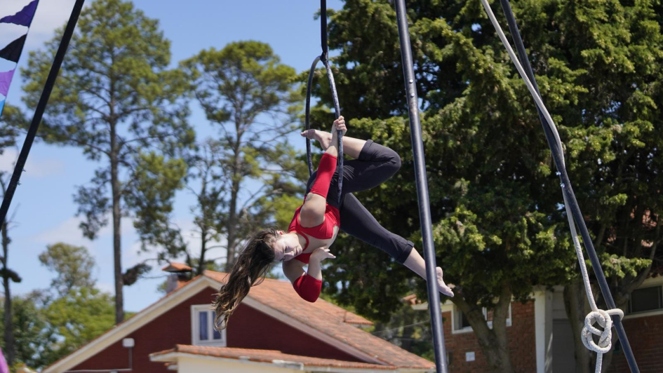 Artistas del circo Artistas del circo