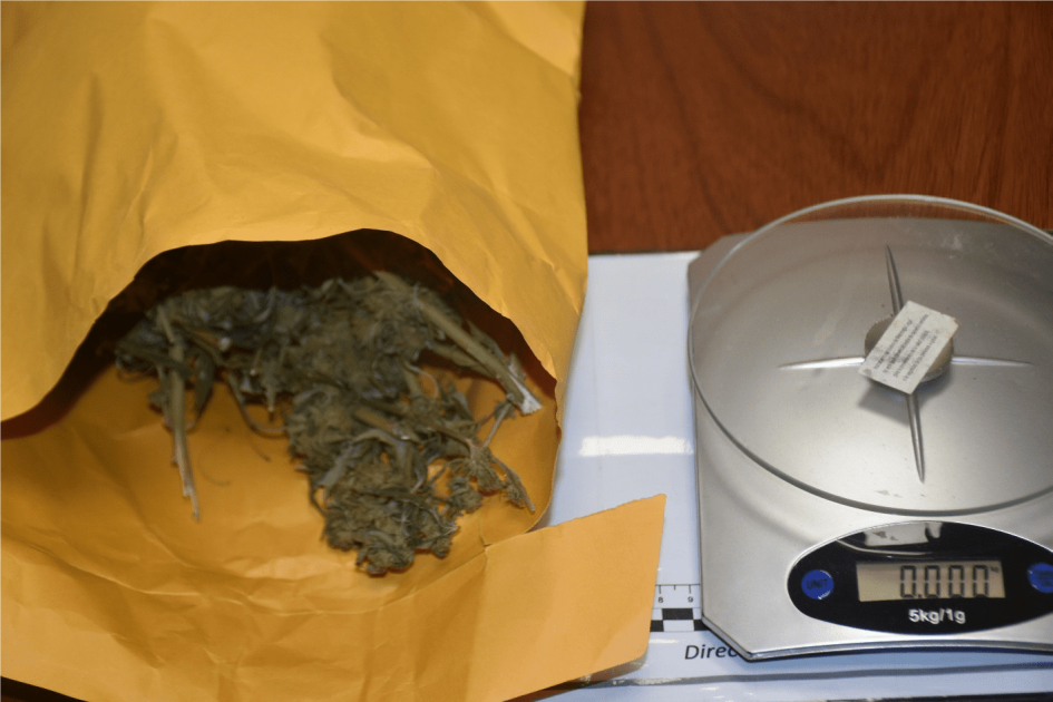 Pesaje de droga Pesaje de droga