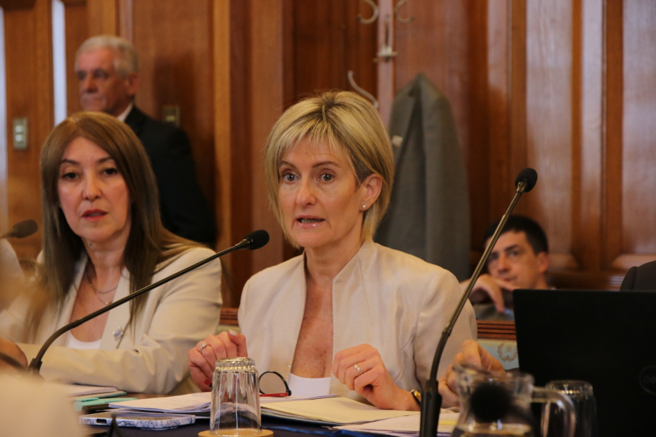 Ministerio del Interior presentó acciones ante la Comisión Bicameral de Salud Mental Ministerio del Interior presentó acciones ante la Comisión Bicameral de Salud Mental
