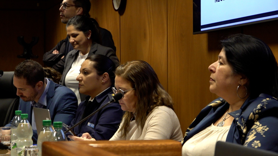 Directora de Género y del INR