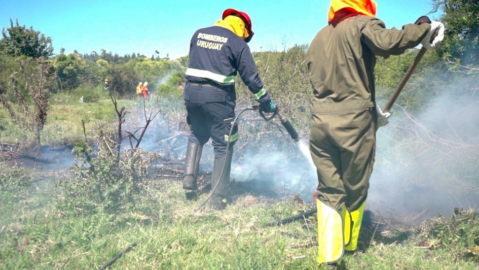 bomberos combatiendo incendio durante el simulacro bomberos combatiendo incendio durante el simulacro