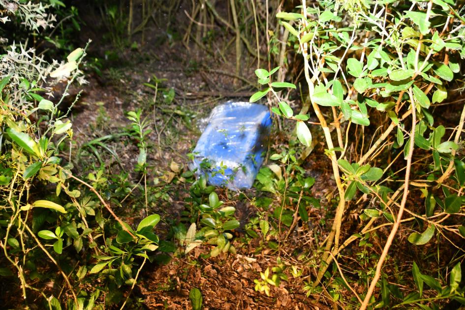 FOTO DEL BULTO DEBAJO DEL ÁRBOL