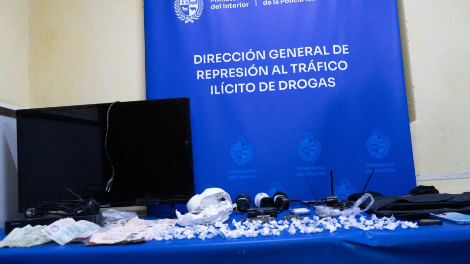 Incautación operación Dominio “”