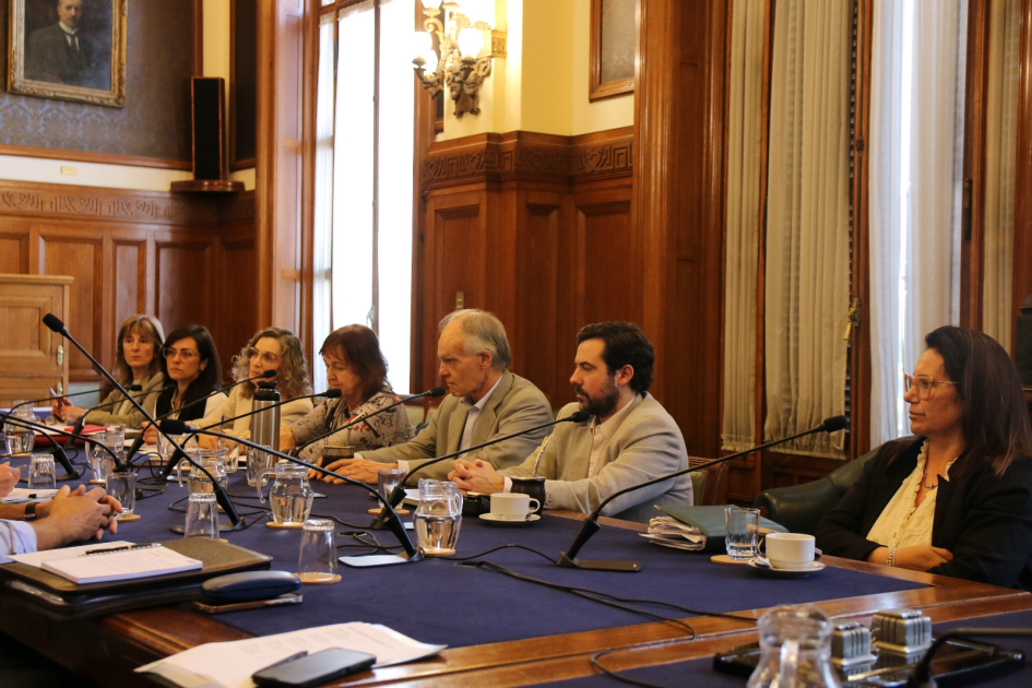 Ministerio del Interior presentó acciones ante la Comisión Bicameral de Salud Mental Ministerio del Interior presentó acciones ante la Comisión Bicameral de Salud Mental