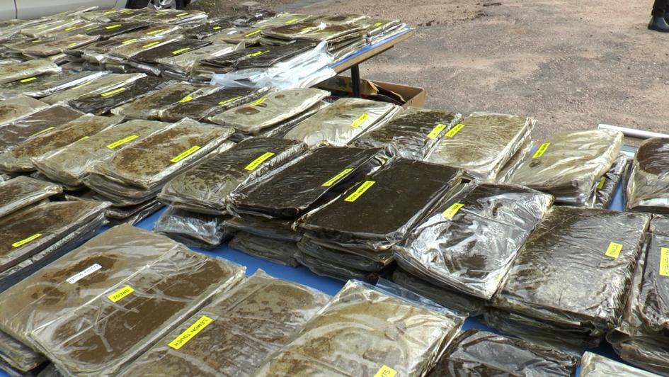 operación Serpiente, la Dirección General de Represión al Tráfico Ilícito de Drogas operación Serpiente, la Dirección General de Represión al Tráfico Ilícito de Drogas