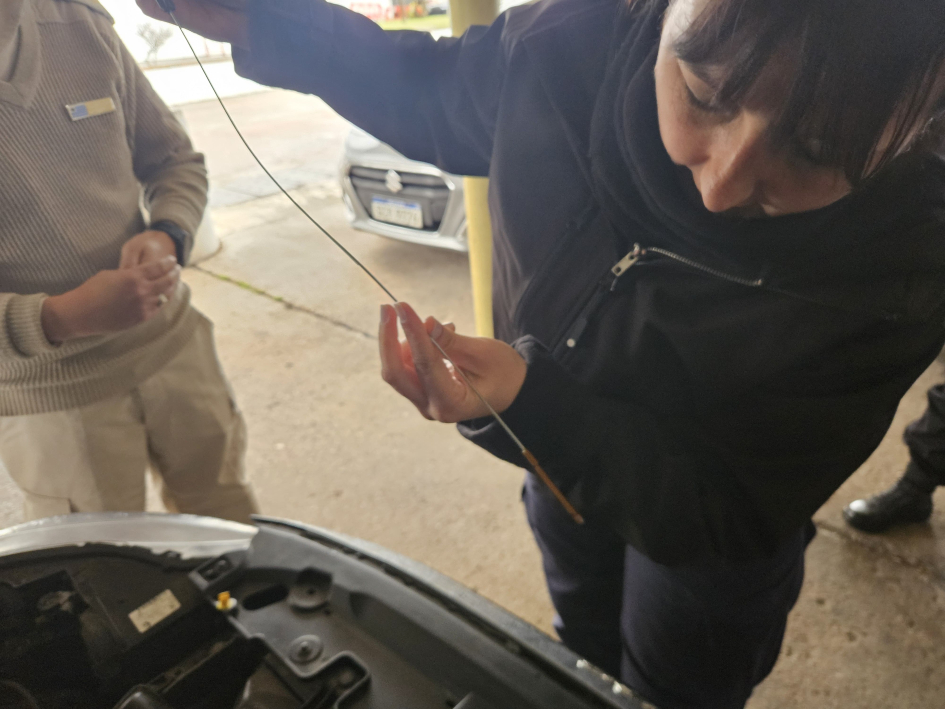 Controlando nivel de fluidos del vehículo Controlando nivel de fluidos del vehículo