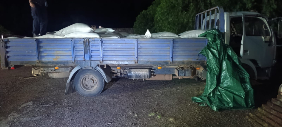 Camión con productos agrícolas sin documentación legal.