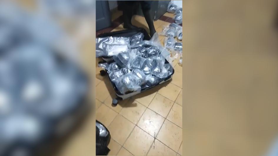 droga incautada droga incautada
