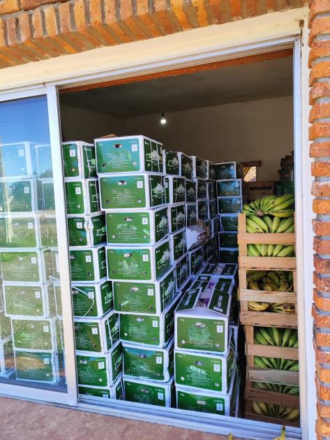 cajas con frutas y verduras