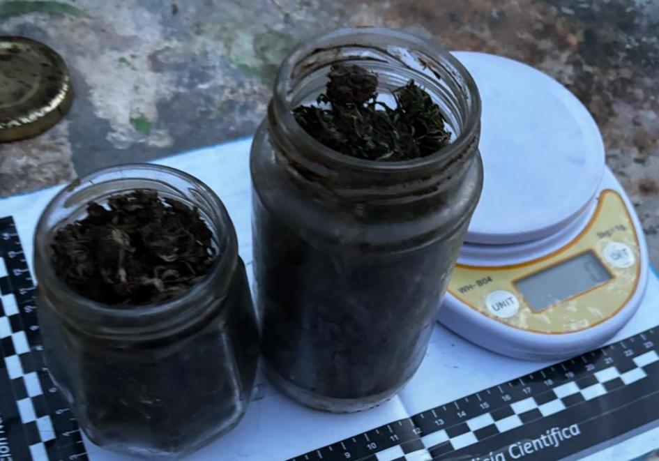 marihuana incautada marihuana incautada