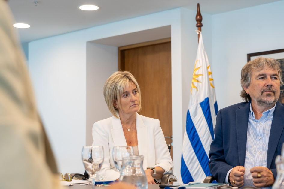 Subsecretaria del Ministerio del Interior, Director General de Presidencia Subsecretaria del Ministerio del Interior, Director General de Presidencia