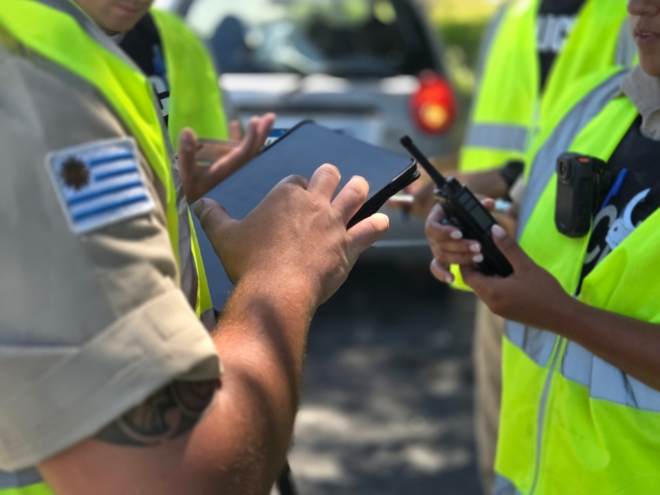 Chequeo de datos en el sistema. Chequeo de datos en el sistema.