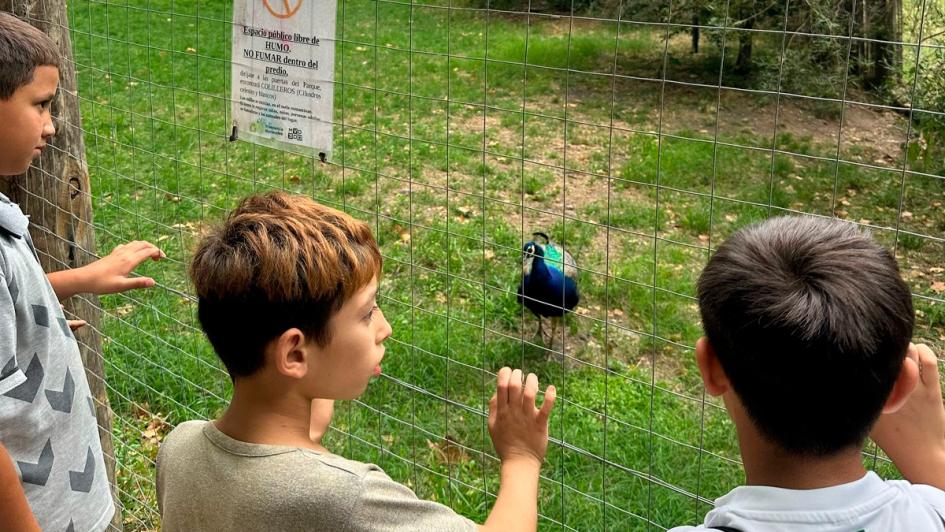 niños investigando cruriosos en el parque