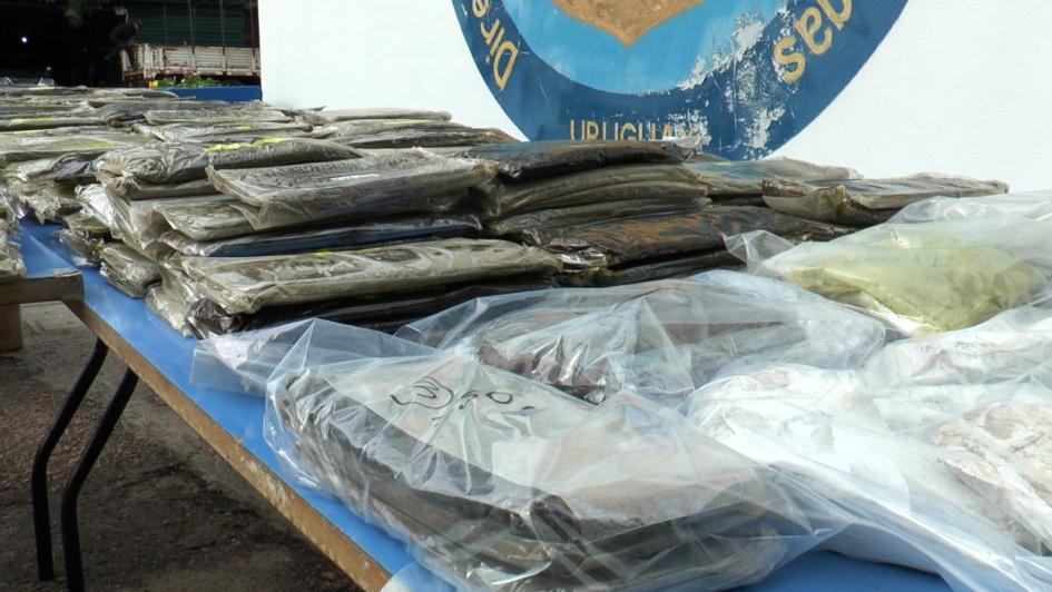 operación Serpiente, la Dirección General de Represión al Tráfico Ilícito de Drogas operación Serpiente, la Dirección General de Represión al Tráfico Ilícito de Drogas